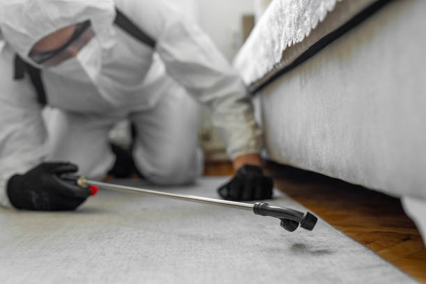 Professional Ant Control technician working in Urania, LA