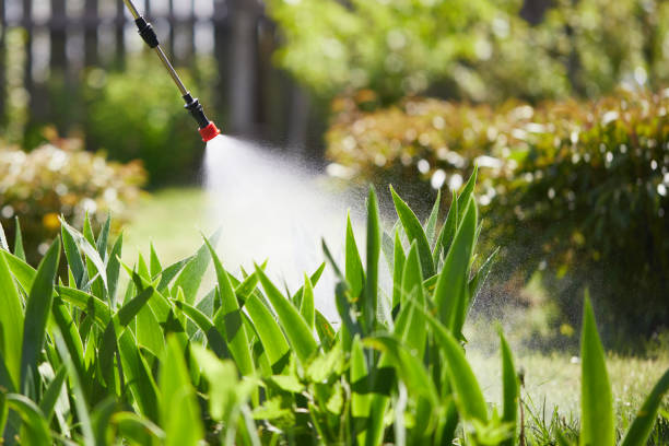 24/7 Emergency Wasp Removal experts in Urania, LA