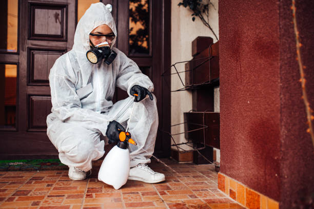 Reliable Wasp Removal contractor in Urania, LA by Show Me Pest Control